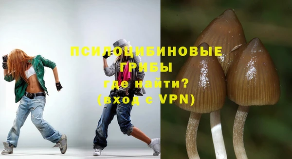 мет Аркадак