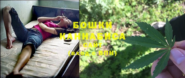 хмурый Рославль