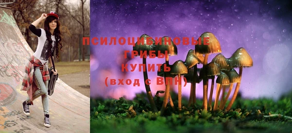 spice Арсеньев