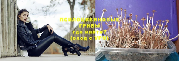 spice Арсеньев